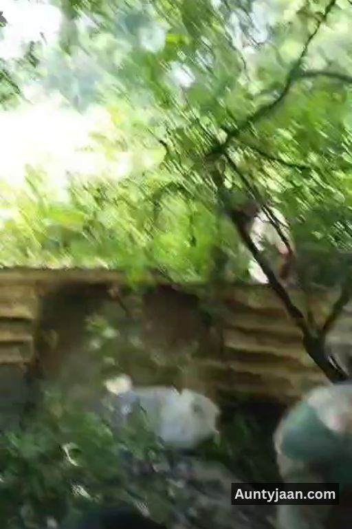 randi aunty outdoor chudai