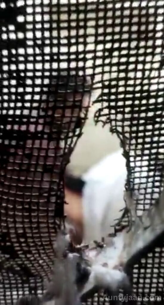 muslim bhabhi caught sex mms